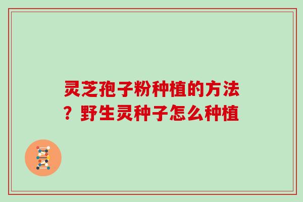 灵芝孢子粉种植的方法？野生灵种子怎么种植