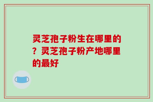 灵芝孢子粉生在哪里的？灵芝孢子粉产地哪里的好