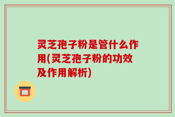 灵芝孢子粉是管什么作用(灵芝孢子粉的功效及作用解析)