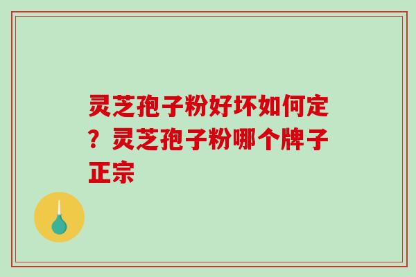 灵芝孢子粉好坏如何定？灵芝孢子粉哪个牌子正宗