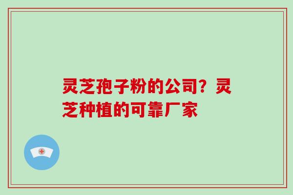 灵芝孢子粉的公司？灵芝种植的可靠厂家