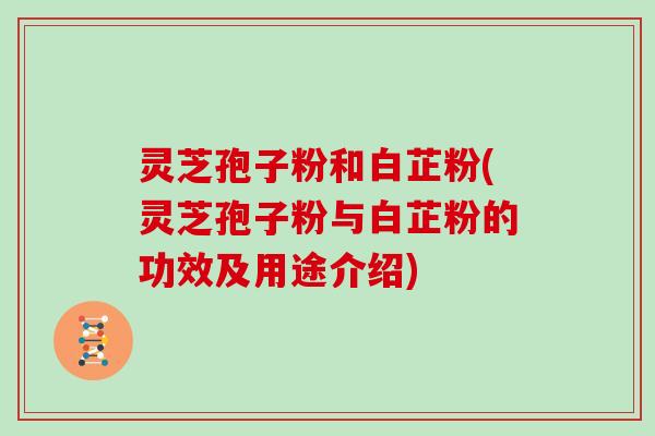 灵芝孢子粉和白芷粉(灵芝孢子粉与白芷粉的功效及用途介绍)