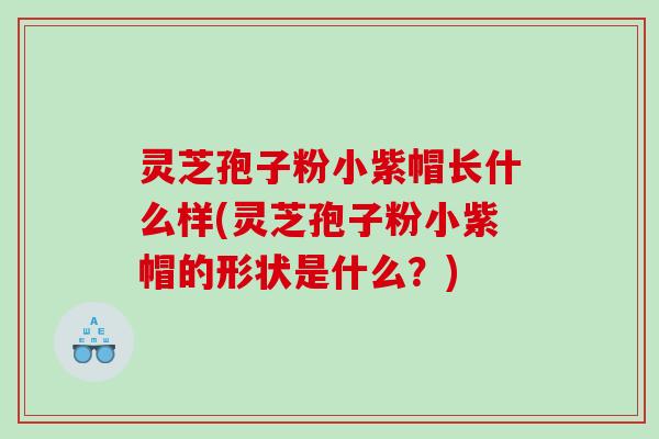 灵芝孢子粉小紫帽长什么样(灵芝孢子粉小紫帽的形状是什么？)