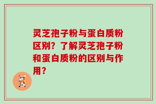 灵芝孢子粉与蛋白质粉区别？了解灵芝孢子粉和蛋白质粉的区别与作用？