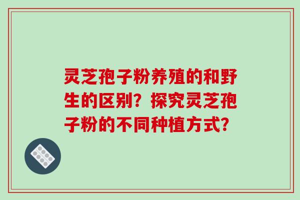 灵芝孢子粉养殖的和野生的区别？探究灵芝孢子粉的不同种植方式？