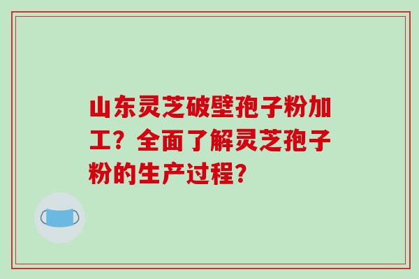 山东灵芝破壁孢子粉加工？全面了解灵芝孢子粉的生产过程？