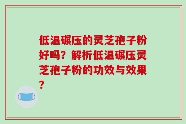 低温碾压的灵芝孢子粉好吗？解析低温碾压灵芝孢子粉的功效与效果？