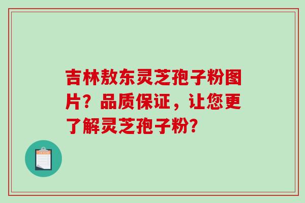 吉林敖东灵芝孢子粉图片？品质保证，让您更了解灵芝孢子粉？