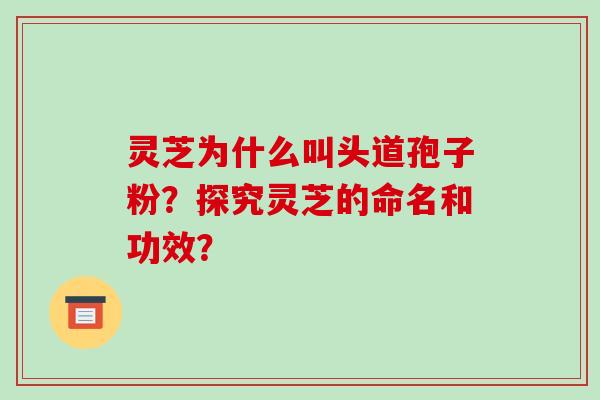 灵芝为什么叫头道孢子粉？探究灵芝的命名和功效？