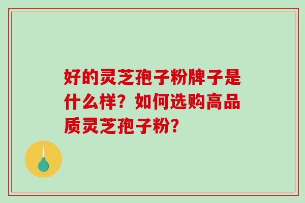 好的灵芝孢子粉牌子是什么样？如何选购高品质灵芝孢子粉？