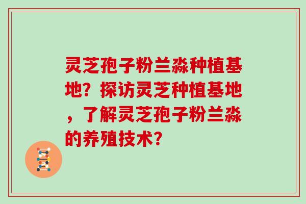 灵芝孢子粉兰淼种植基地？探访灵芝种植基地，了解灵芝孢子粉兰淼的养殖技术？
