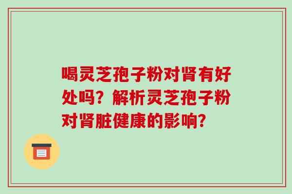 喝灵芝孢子粉对肾有好处吗？解析灵芝孢子粉对肾脏健康的影响？
