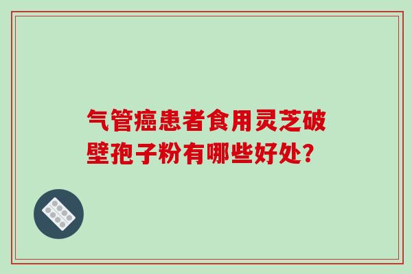 气管患者食用灵芝破壁孢子粉有哪些好处？