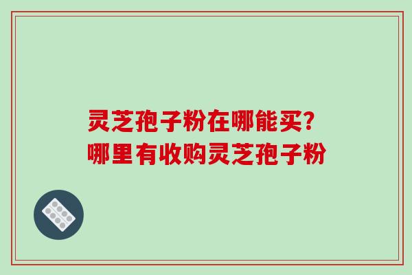 灵芝孢子粉在哪能买？哪里有收购灵芝孢子粉