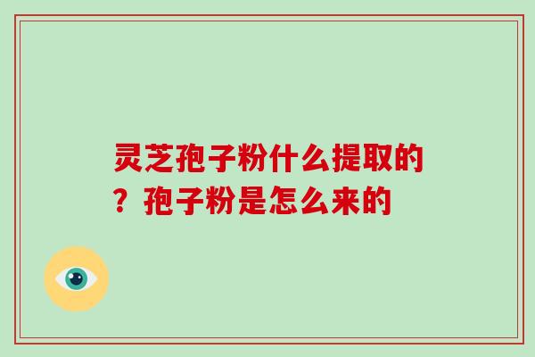 灵芝孢子粉什么提取的？孢子粉是怎么来的