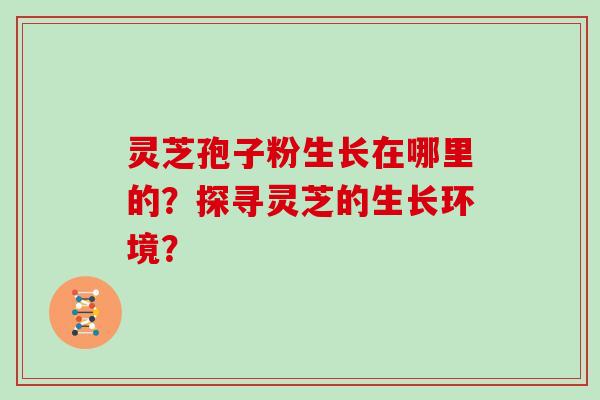 灵芝孢子粉生长在哪里的？探寻灵芝的生长环境？