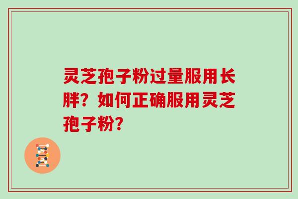 灵芝孢子粉过量服用长胖？如何正确服用灵芝孢子粉？