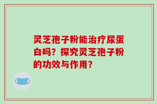 灵芝孢子粉能尿蛋白吗？探究灵芝孢子粉的功效与作用？