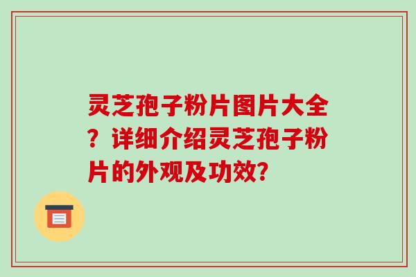 灵芝孢子粉片图片大全？详细介绍灵芝孢子粉片的外观及功效？