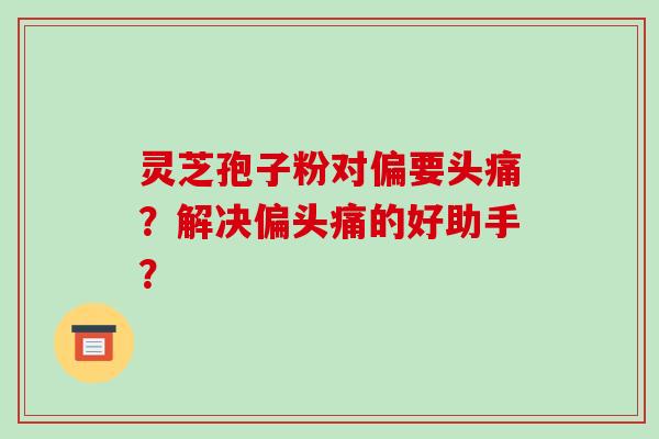 灵芝孢子粉对偏要头痛？解决的好助手？
