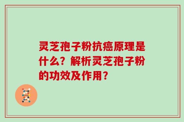 灵芝孢子粉抗原理是什么？解析灵芝孢子粉的功效及作用？