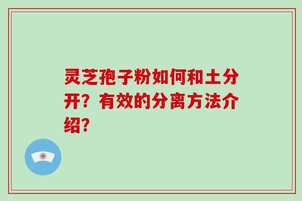 灵芝孢子粉如何和土分开？有效的分离方法介绍？