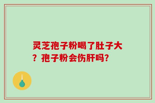 灵芝孢子粉喝了肚子大？孢子粉会伤肝吗？