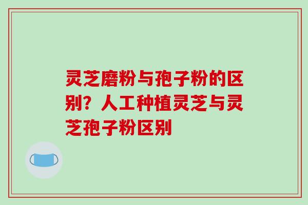灵芝磨粉与孢子粉的区别？人工种植灵芝与灵芝孢子粉区别