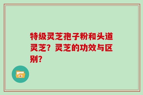 特级灵芝孢子粉和头道灵芝？灵芝的功效与区别？