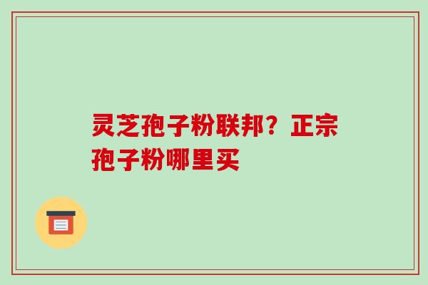 灵芝孢子粉联邦？正宗孢子粉哪里买