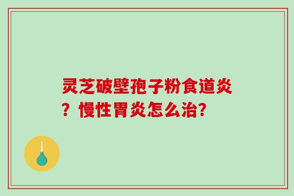 灵芝破壁孢子粉食道炎？慢性胃炎怎么治？