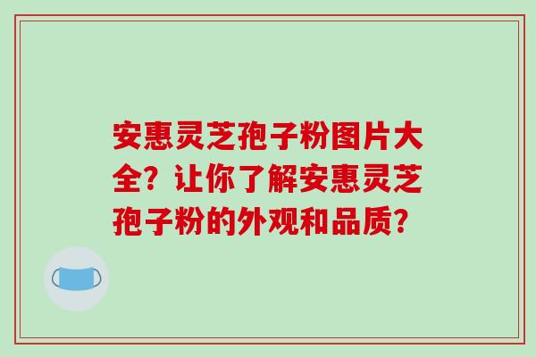 安惠灵芝孢子粉图片大全？让你了解安惠灵芝孢子粉的外观和品质？