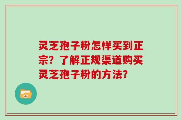 灵芝孢子粉怎样买到正宗？了解正规渠道购买灵芝孢子粉的方法？