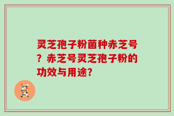 灵芝孢子粉菌种赤芝号？赤芝号灵芝孢子粉的功效与用途？