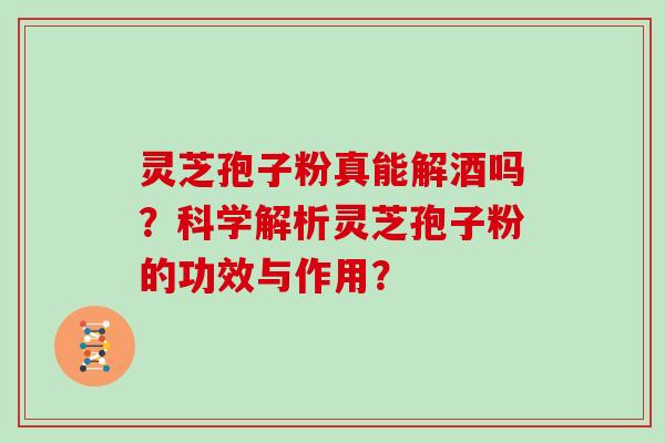 灵芝孢子粉真能解酒吗？科学解析灵芝孢子粉的功效与作用？