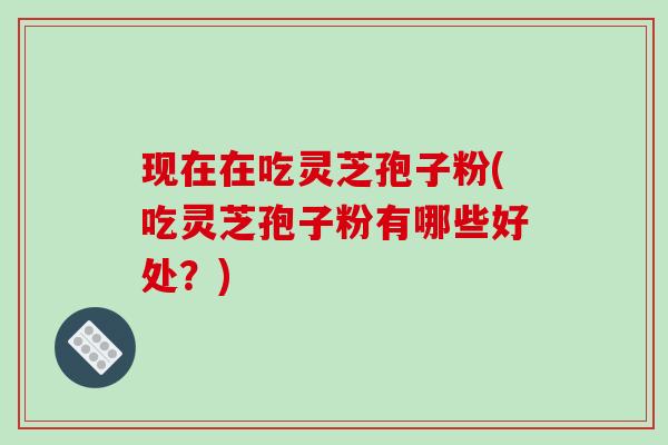 现在在吃灵芝孢子粉(吃灵芝孢子粉有哪些好处？)