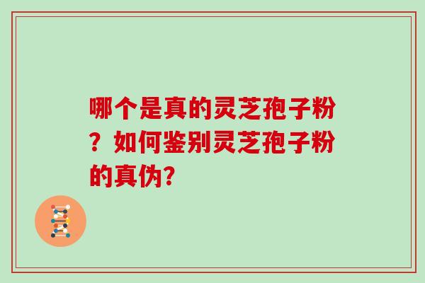 哪个是真的灵芝孢子粉？如何鉴别灵芝孢子粉的真伪？