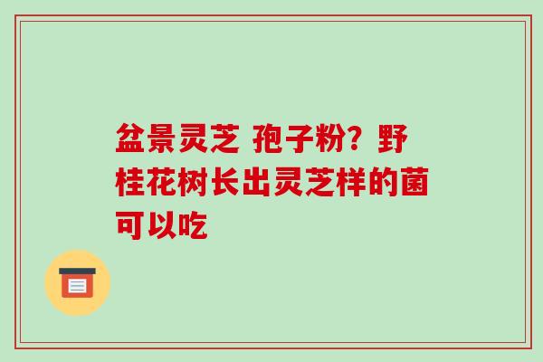 盆景灵芝 孢子粉？野桂花树长出灵芝样的菌可以吃