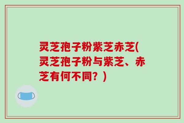 灵芝孢子粉紫芝赤芝(灵芝孢子粉与紫芝、赤芝有何不同？)