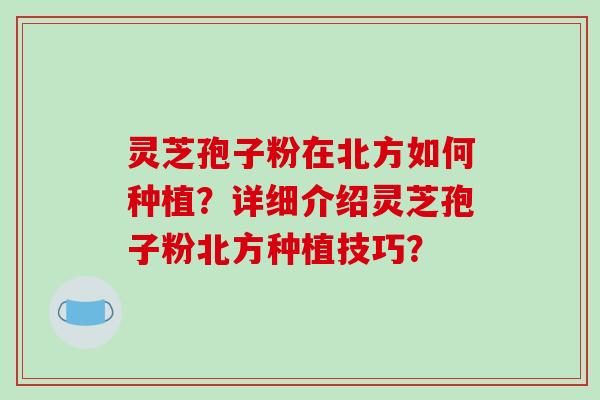 灵芝孢子粉在北方如何种植？详细介绍灵芝孢子粉北方种植技巧？