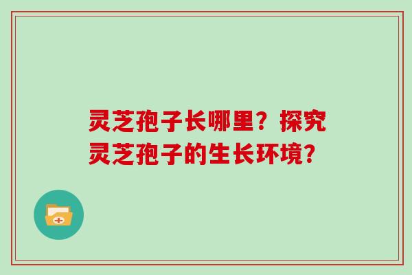 灵芝孢子长哪里？探究灵芝孢子的生长环境？