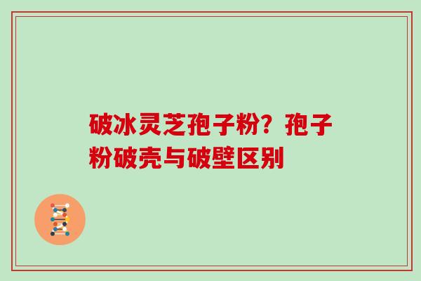破冰灵芝孢子粉？孢子粉破壳与破壁区别