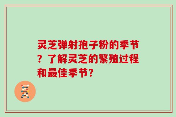 灵芝弹射孢子粉的季节？了解灵芝的繁殖过程和佳季节？