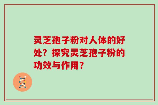 灵芝孢子粉对人体的好处？探究灵芝孢子粉的功效与作用？
