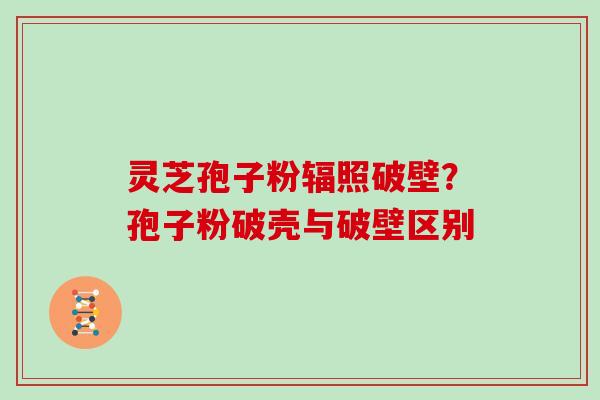 灵芝孢子粉辐照破壁？孢子粉破壳与破壁区别