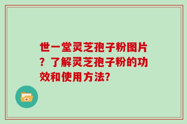 世一堂灵芝孢子粉图片？了解灵芝孢子粉的功效和使用方法？
