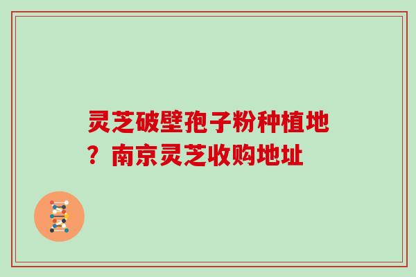 灵芝破壁孢子粉种植地？南京灵芝收购地址
