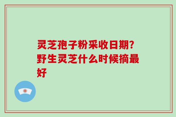 灵芝孢子粉采收日期？野生灵芝什么时候摘最好