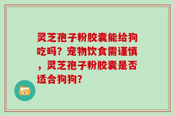 灵芝孢子粉胶囊能给狗吃吗？宠物饮食需谨慎，灵芝孢子粉胶囊是否适合狗狗？