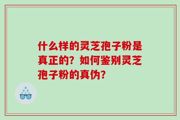 什么样的灵芝孢子粉是真正的？如何鉴别灵芝孢子粉的真伪？